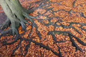 diagnose for addiction image