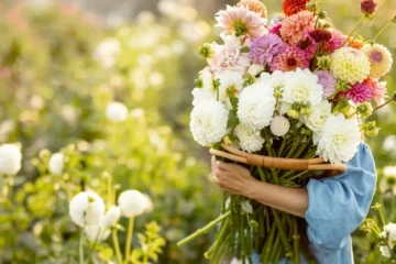 Why Diets Don't Work